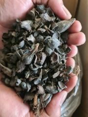 PALM KERNEL SHELL (PKS) - Image 2
