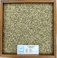 Vietnam Arabica, Grade 1, Screen 16/ 18, Fully-Washed - Image 2