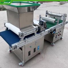Intelligent Horticulture Seeding System with Full-Process Tray Handling Automation - Image 3