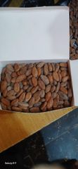 Dry Cocoa Beans - Image 1
