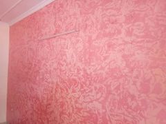 Exterior Painting Service Finish Smooth Paint Brand Dulux Service Location lucknow Building Type Residential Paint Type Exterior - Image 6