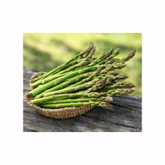 Top Quality Green Fresh ASPARAGUS For Wholesale Grade Top Color Green Flavor Fresh Type Asparagus Packaging Bulk Texture Tender - Image 2