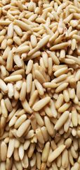 Pine nut kernel roasted - Ahmad Zai Yasser LTD