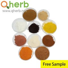 Food Additive Monascus Color Red - Image 5