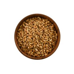 Wheat Grain
