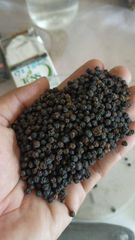 Black Pepper GL550 – product photo 1, product detail gallery