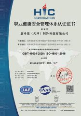 ISO 45001 certificate from EUROLINK (Tianjin) Automation Technology Co., Ltd