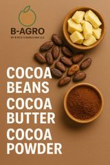 Cocoa Beans - Image 1