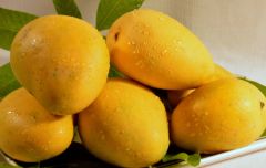 Indian Mangoes – product photo 1, product detail gallery