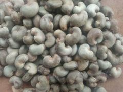 Raw Cashew Nuts – product photo 2, product detail gallery