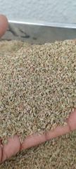 fennel Seeds – product photo 2, product detail gallery