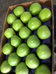 CLASS 1 Export Quality Granny Smith Apples from South Africa!! NEW CROPS!! Excellent packaging - Image 3