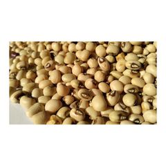 Premium Quality Wholesale Black Eyed Peas Beans for Sale – Cleaned, Nutritious, Export Grade Cowpeas for Bulk Supply, Food Processing, Retail Packaging, and Global Distribution with Competitive Prices, Reliable Delivery, and Custom Packaging Solutions - Image 2