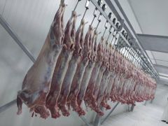 Frozen Lamb Meat – Whole Carcass (Bone-In) - Image 3