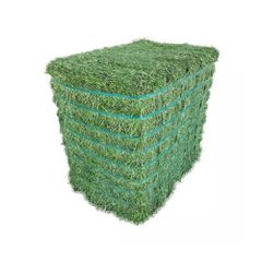 High quality alfalfa hay prepared for bulk sale with steady supply availability - Image 2