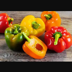 High Quality Natural Products Fresh Capsicum Fresh Bell Pepper Sweet Green Yellow Red Pepper from France - Image 6