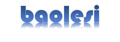BLS (SHENYANG) EQUIPMENT CO., LTD.