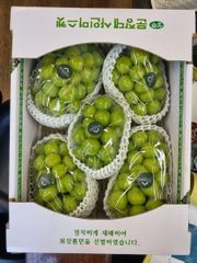 SHine Muscat  18brix over, 4kg/ctn - Image 1