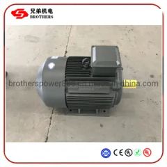 Anp 0 75kw to 315kw Three Phase Asynchronous GOST Russa Electric Motor - Fuding Brothers Power Co., Ltd.