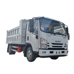 Shacman HOWO 4 2 6 4 190HP 400HP 20cbm 10wheelers 15ton Dumper Tipper Dump Truck for Africa Ethiopia Transport Heavy Duty - Chengli Special Automobile Co., Ltd.
