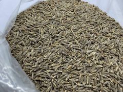 Cumin Seed - Image 4