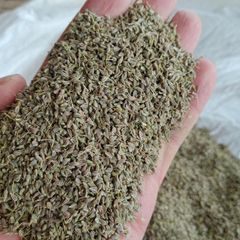 Egyptian Aniseed (Pimpinella anisum) Whole Seeds - Premium Export Quality - Image 3