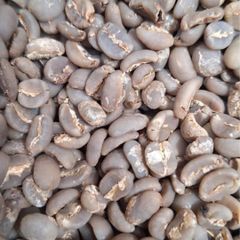 Indonesia Java Preanger Arabica Green Coffee Beans – product photo 2, product detail gallery
