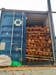 Fresh Coconut from Indonesia is the best and cheap Style Fresh Type Coconut Variety Matured Coconut Place of Origin - Image 3