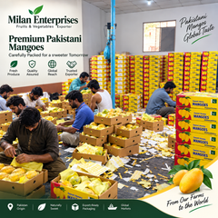 Company – gallery group cover, supplier detail gallery