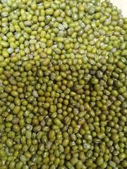 Myanmar Green Mung Beans – product photo 3, product detail gallery