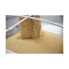 Bulk supply of soybeans ready for sale with premium quality and high protein content - Image 5