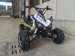 110cc Kids Quad ATV Bikes for Sale Origin China Brand Linhai Condition New Trademark EMTO Power 800-1000W Specification ce - Image 3