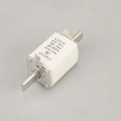 Nh00/Nh1/Nh2/Nh3/Nh4 (CE) PV Fuse and Solar Fuse Model NO. NH Shape Insert Trademark LOUP Origin Zhejiang Fusing Speed - Wenzhou Homor International Trade Co., Ltd.