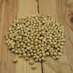 Fresh Crop Soybean Seed Processed Under Quality Control Reliable Soybean Seed For Large Scale Farming Demand - Image 4