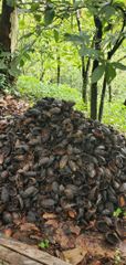 Cocoa Shell - Image 2