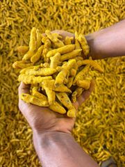 turmeric premium salem - Image 3