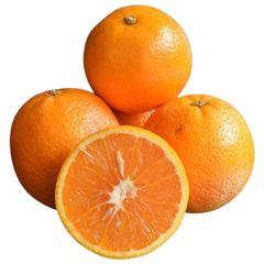 Capespan Fresh Oranges for Supermarkets and Fruit Shops Looking for Attractive Citrus Produce - Image 2