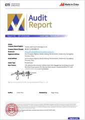 Audit Report certificate from Foshan Label King Technology Co. Ltd