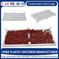 Durable Plastic Trays with Compartments Vented Stackable Air Flow Plastic Drying Tray - Enlightening Plast Co., Ltd