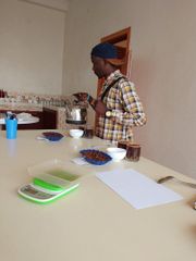 Fullwashed, specialty coffee (NATURAL, Anaerobic and Honey) - Image 1