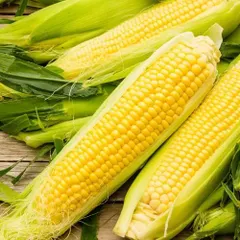 Top Grade Yellow Corn Maize 25kg 50kg Clean Whole Kernels Rich Energy Content Perfect For Animal Feed Processing And Industrial Supply Buy Now Fast Delivery Premium Quality Wholesale - Image 1