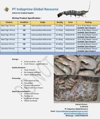 Premium Frozen Vannamei & Black Tiger Shrimp| East Kalimantan Origin - Borneo Indonesia - Image 1