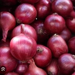 Shallots Flavor Rich Shelf Life Long Quality Consistent Grade Export Quality Place of Origin Myanmar Growth Method Naturally Grown - Image 1