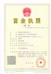 License certificate from Honha Autoparts Group Co., Limited