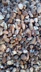 Pebbles Decorative - Image 4