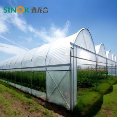 Multi Span Plastic Greenhouse with Hydroponics Planting System/Drip Irrigation System - Image 6