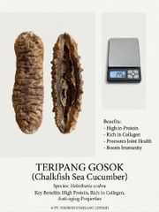 Dried Sea Cucumber - Image 6