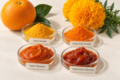Lutein ester for nutraceuticals and animal feed - Image 2