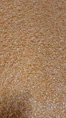 Canada imported toor dal processed in India -first quality product masoor dal adithya brand - Image 5