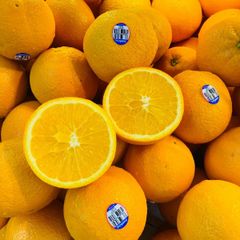 Capespan Fresh Oranges for Refreshing Snacks and Convenient Fruit Supply for Families Retailers and Food Service - Image 1